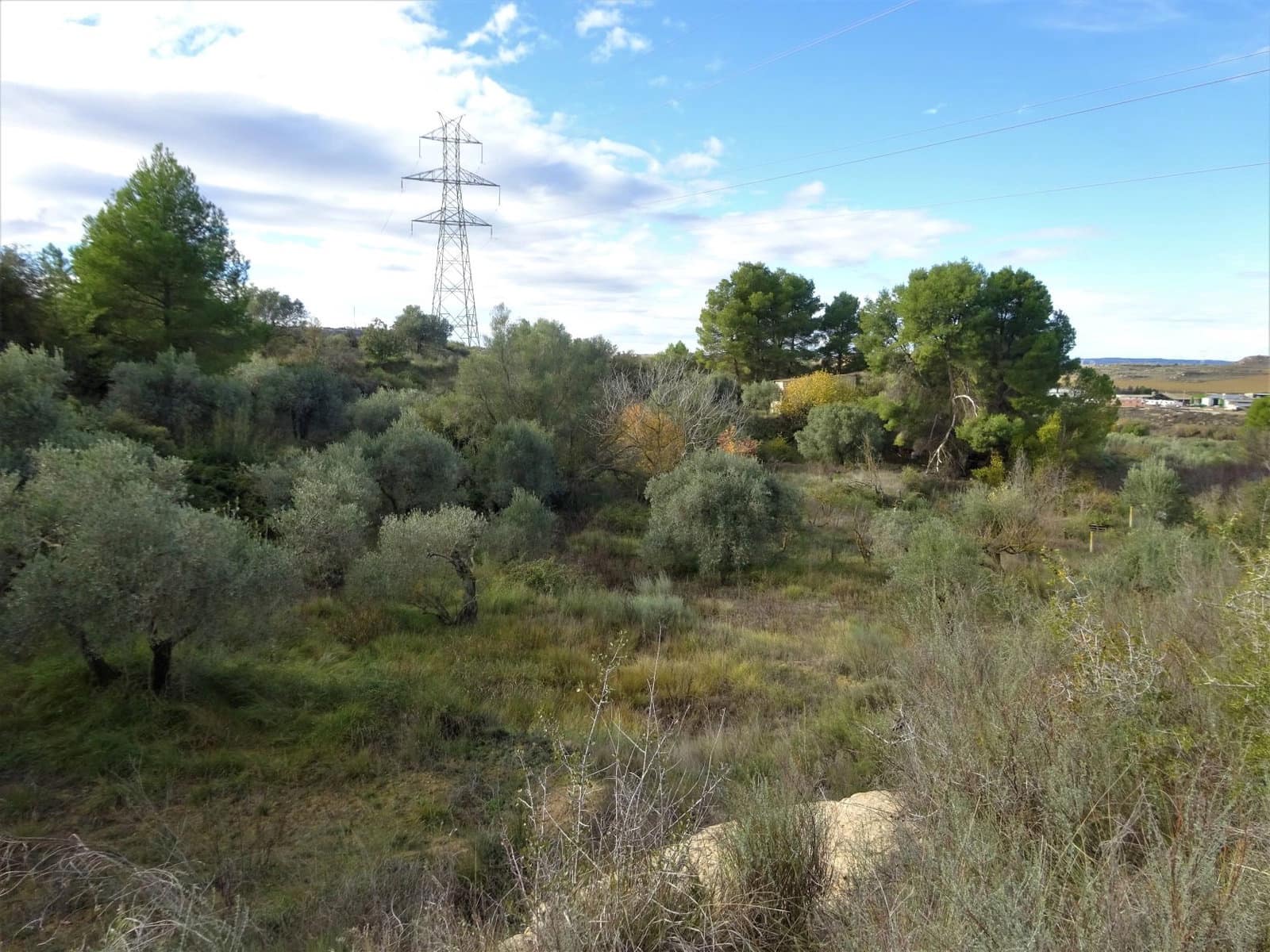 Quinta/Casa Rural para venda em Caspe - 29 500 € (Ref: 9218578)