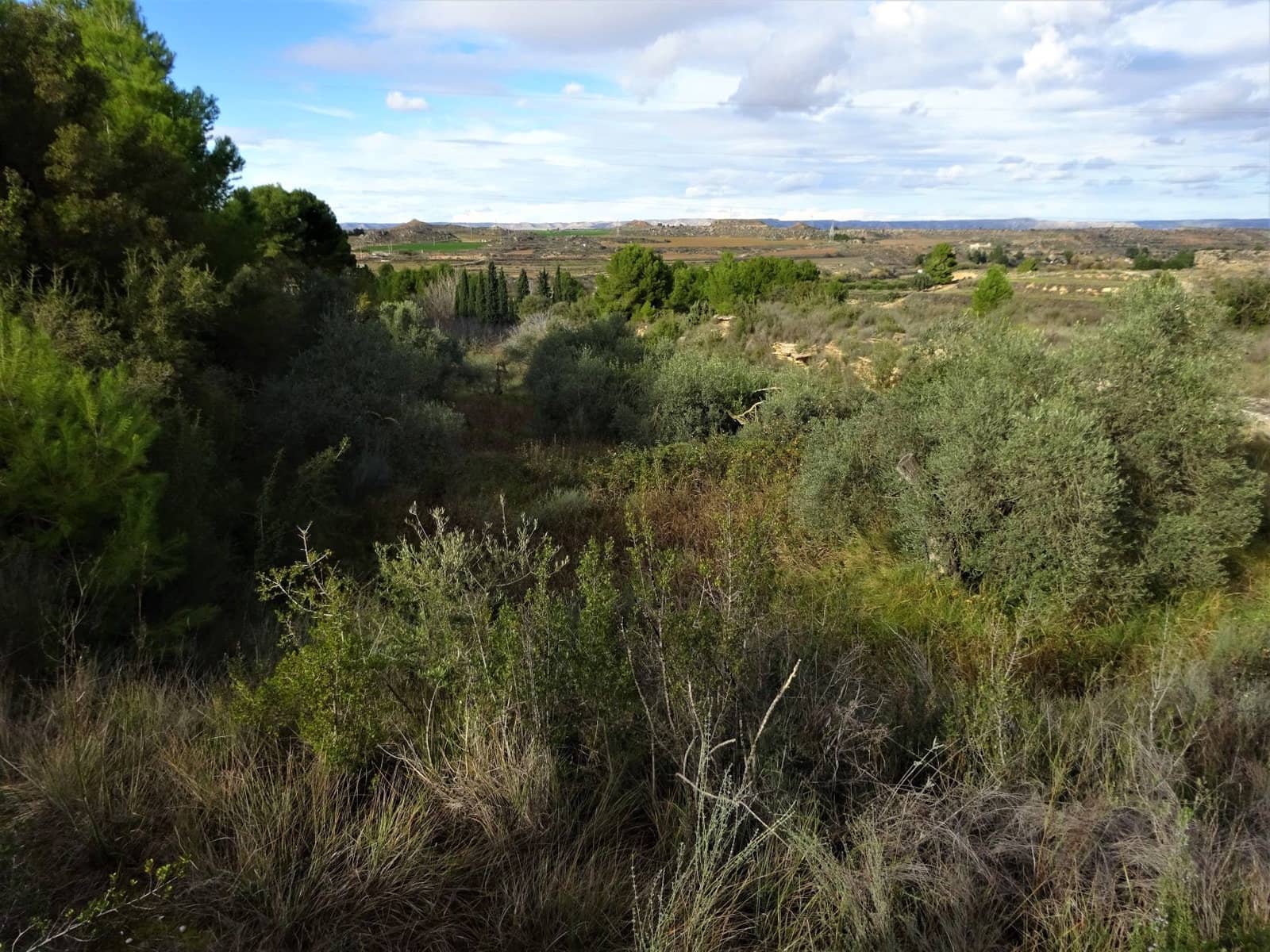Quinta/Casa Rural para venda em Caspe - 29 500 € (Ref: 9218578)