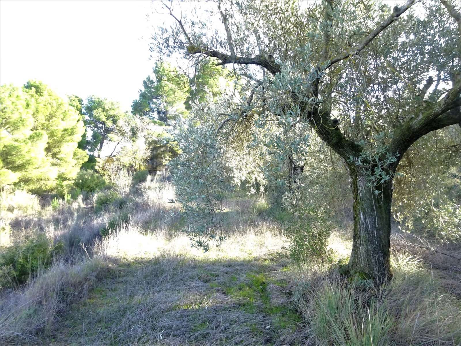 Quinta/Casa Rural para venda em Caspe - 29 500 € (Ref: 9218578)