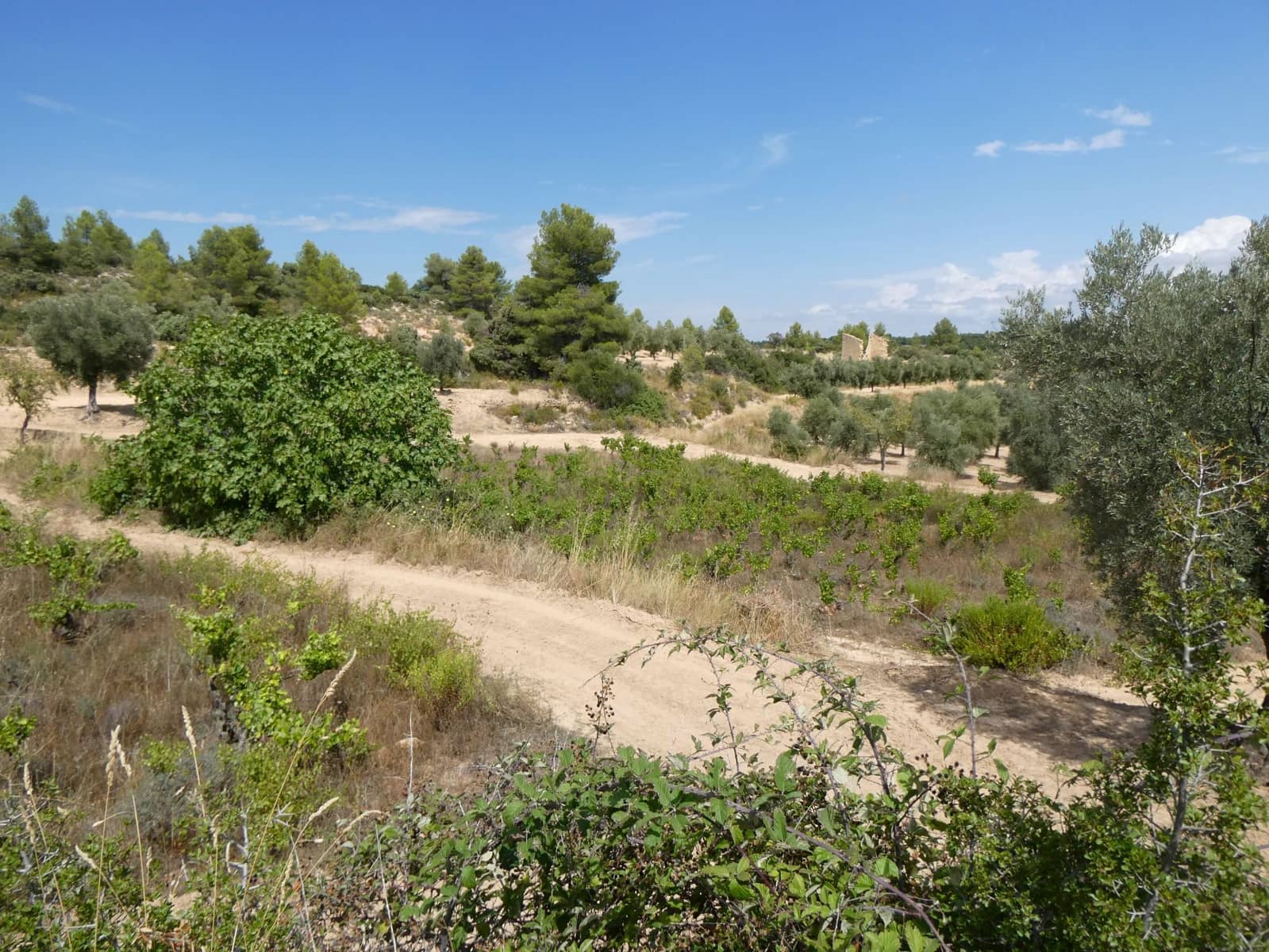 Finca/Landehus til salg i Calaceite - € 21.500 (Ref: 9218953)