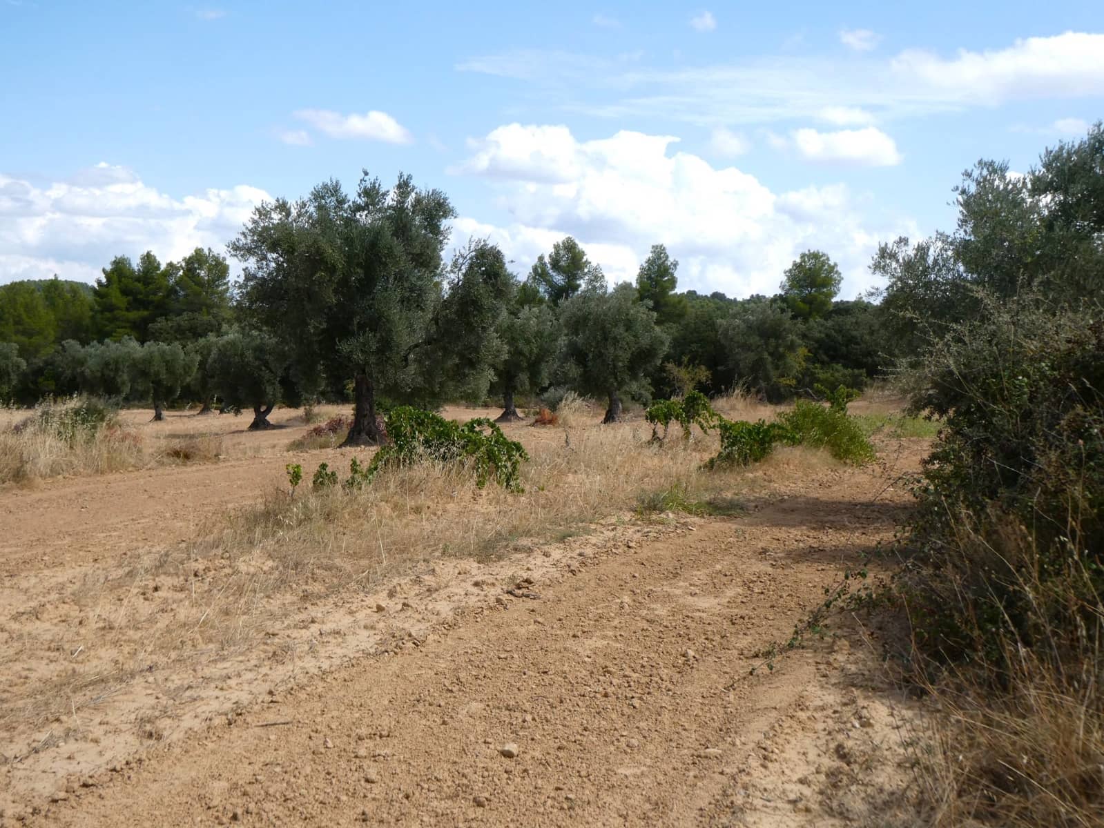 Finca/Landehus til salg i Calaceite - € 21.500 (Ref: 9218953)