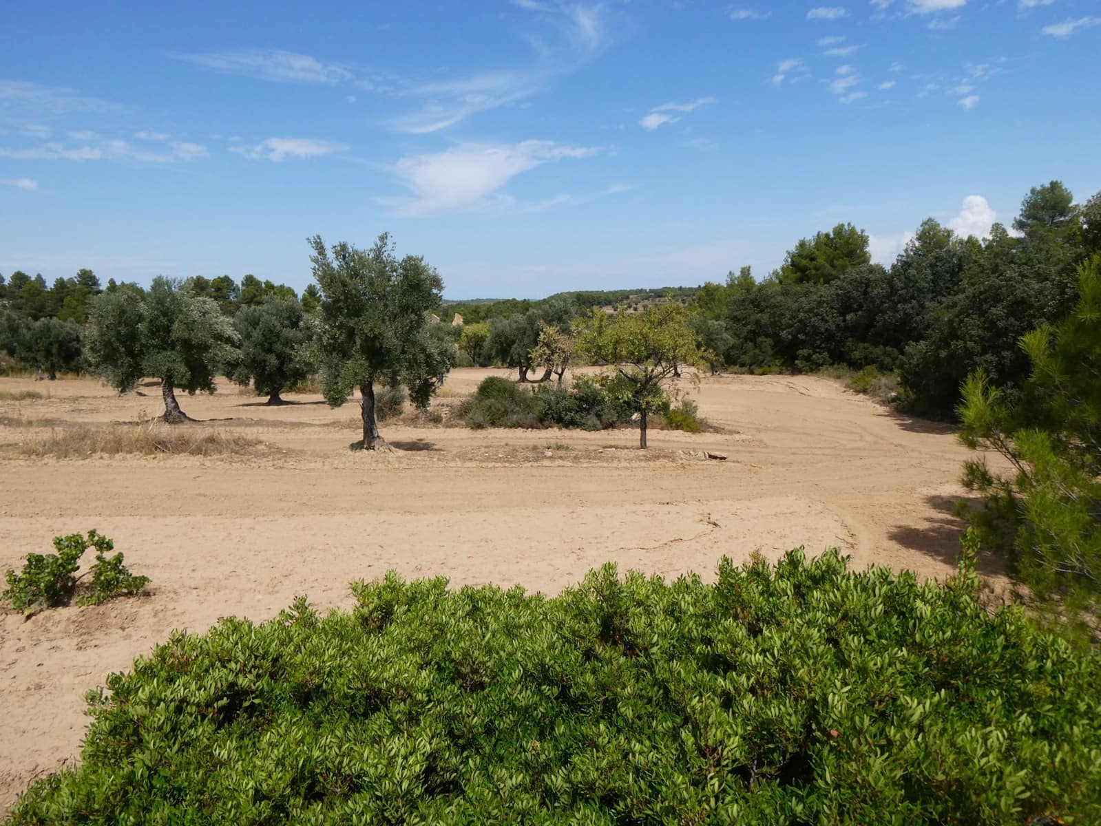 Finca/Landehus til salg i Calaceite - € 21.500 (Ref: 9218953)