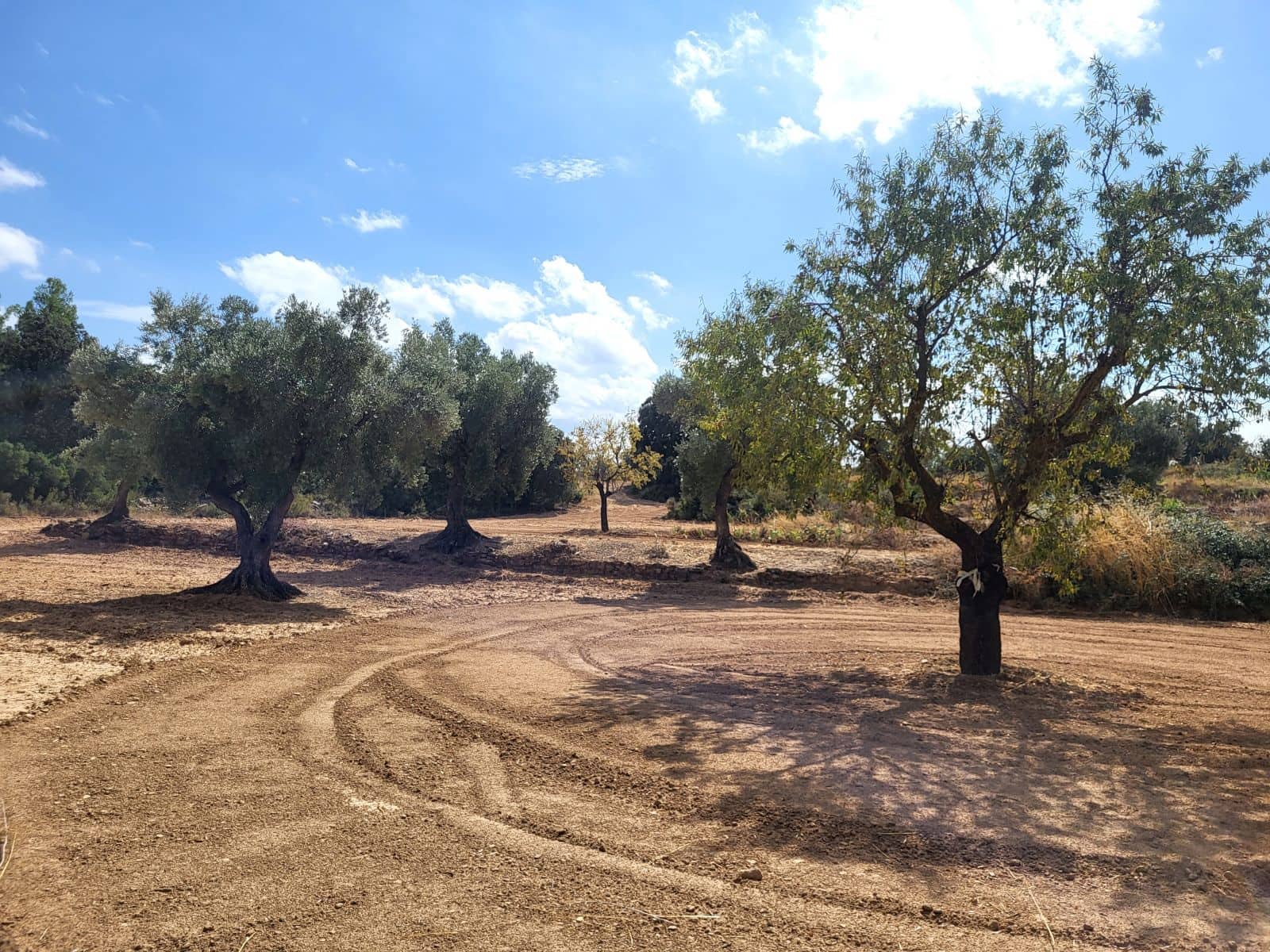 Finca/Landehus til salg i Calaceite - € 21.500 (Ref: 9218953)