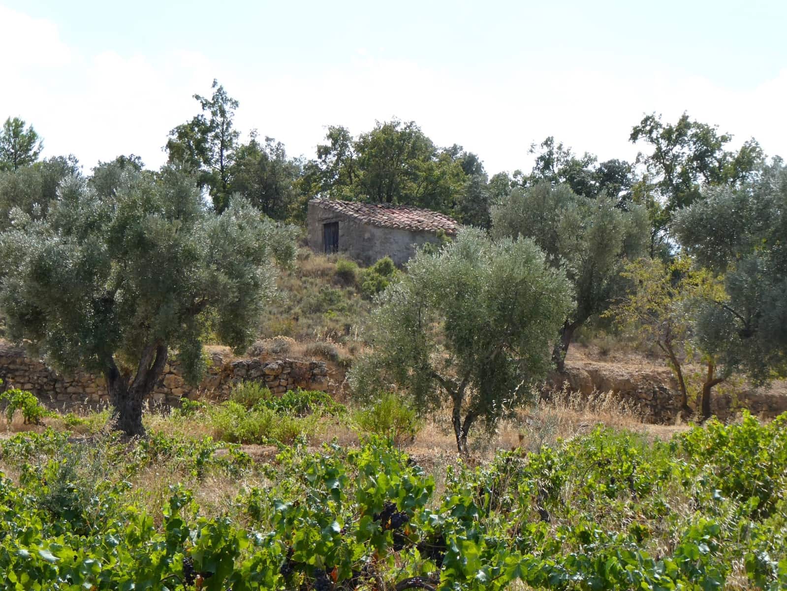 Finca/Landehus til salg i Calaceite - € 21.500 (Ref: 9218953)