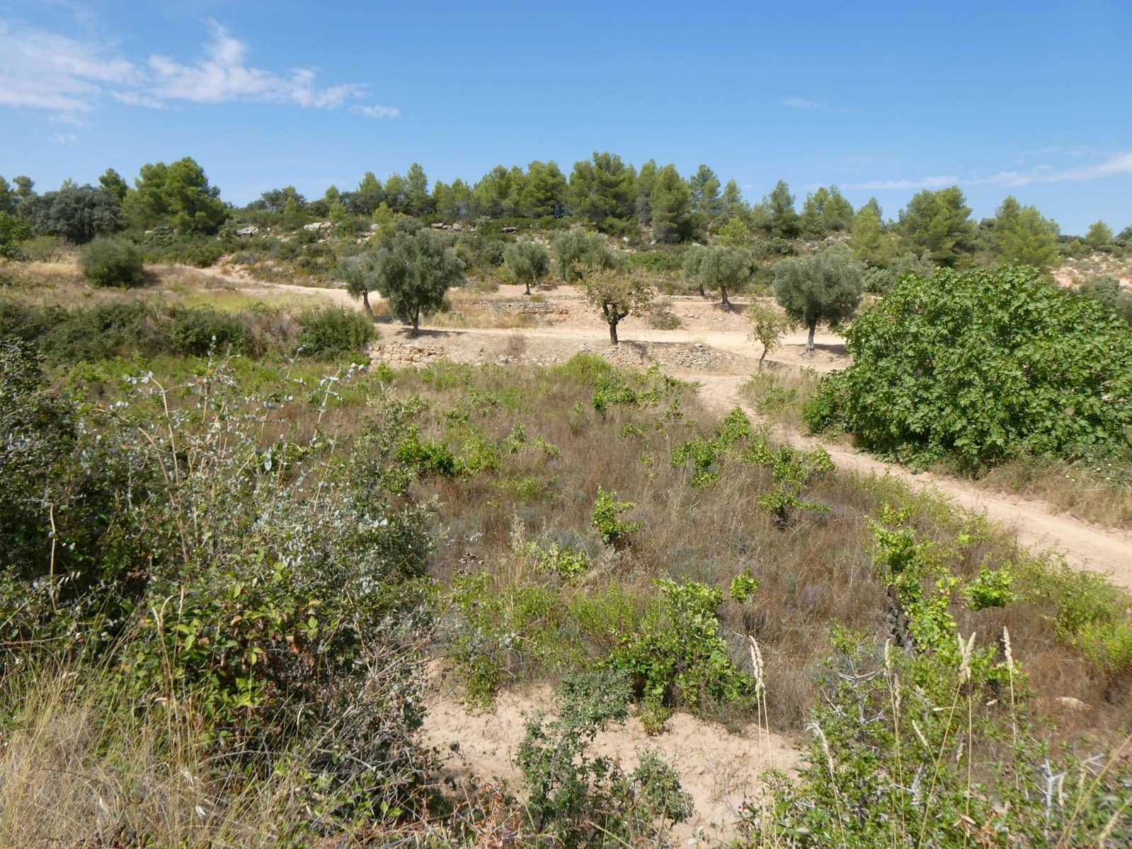 Finca/Landehus til salg i Calaceite - € 21.500 (Ref: 9218953)