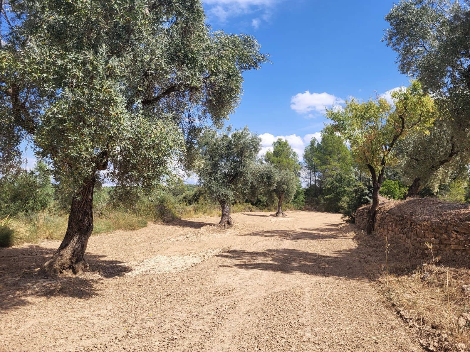 Finca/Landehus til salg i Calaceite - € 21.500 (Ref: 9218953)
