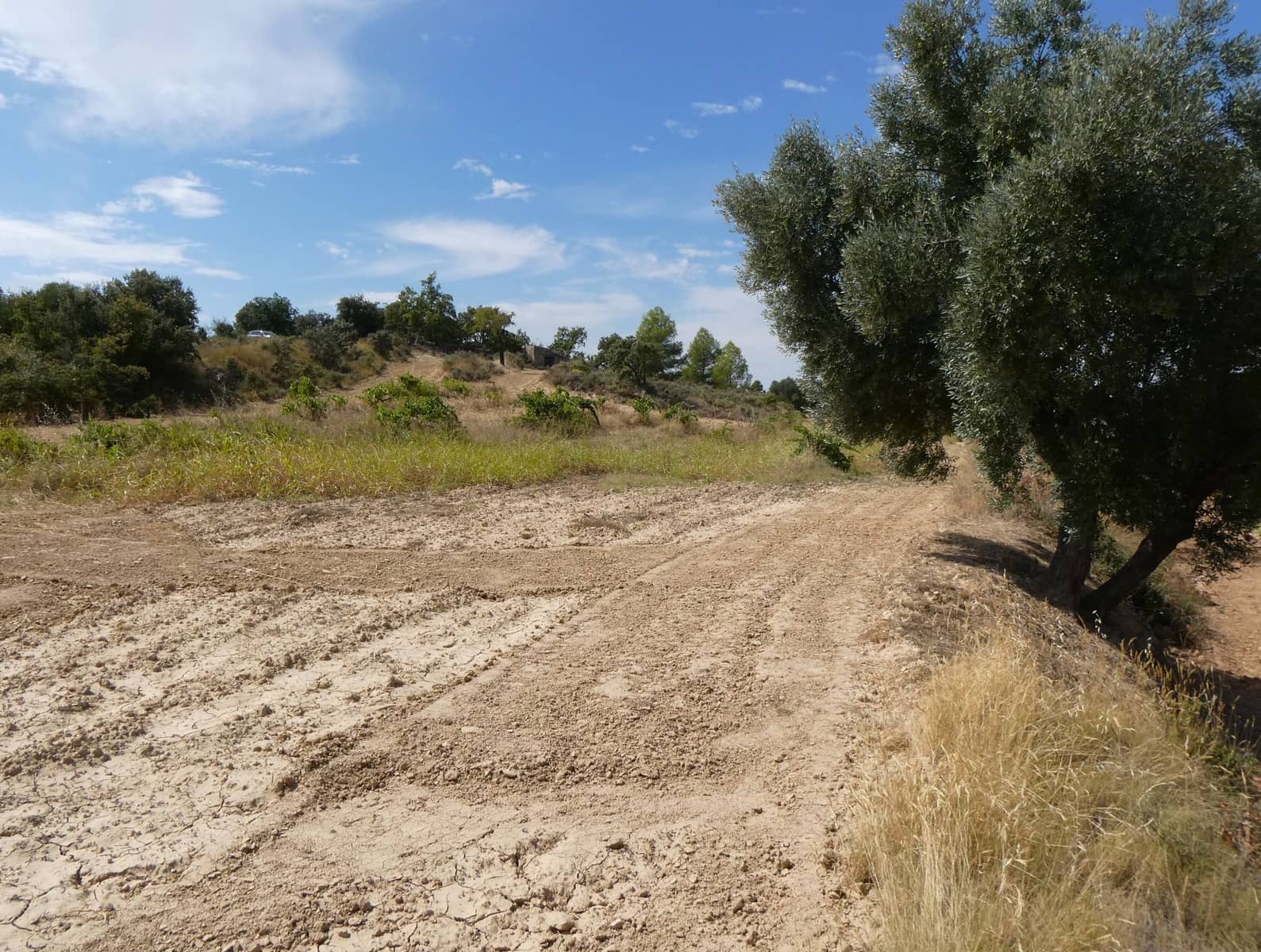 Finca/Landehus til salg i Calaceite - € 21.500 (Ref: 9218953)