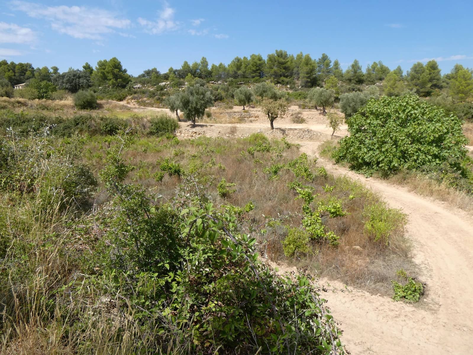 Finca/Landehus til salg i Calaceite - € 21.500 (Ref: 9218953)