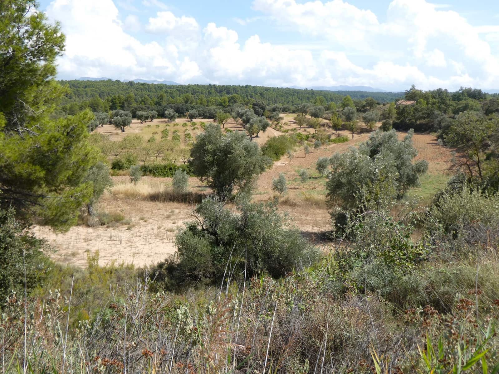 Finca/Landehus til salg i Calaceite - € 21.500 (Ref: 9218953)