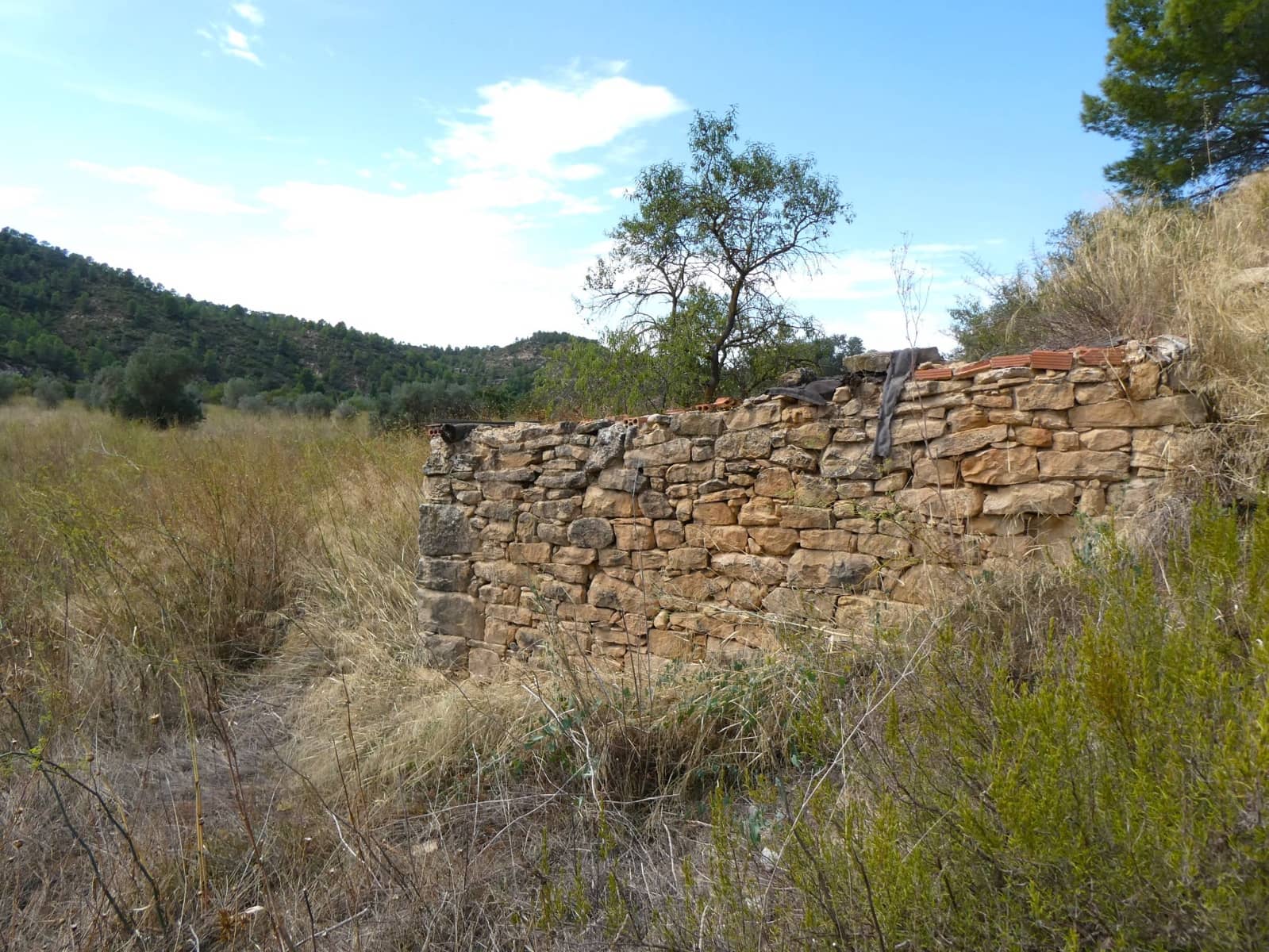 Finca/Landehus til salg i Caseres - € 8.500 (Ref: 9219620)