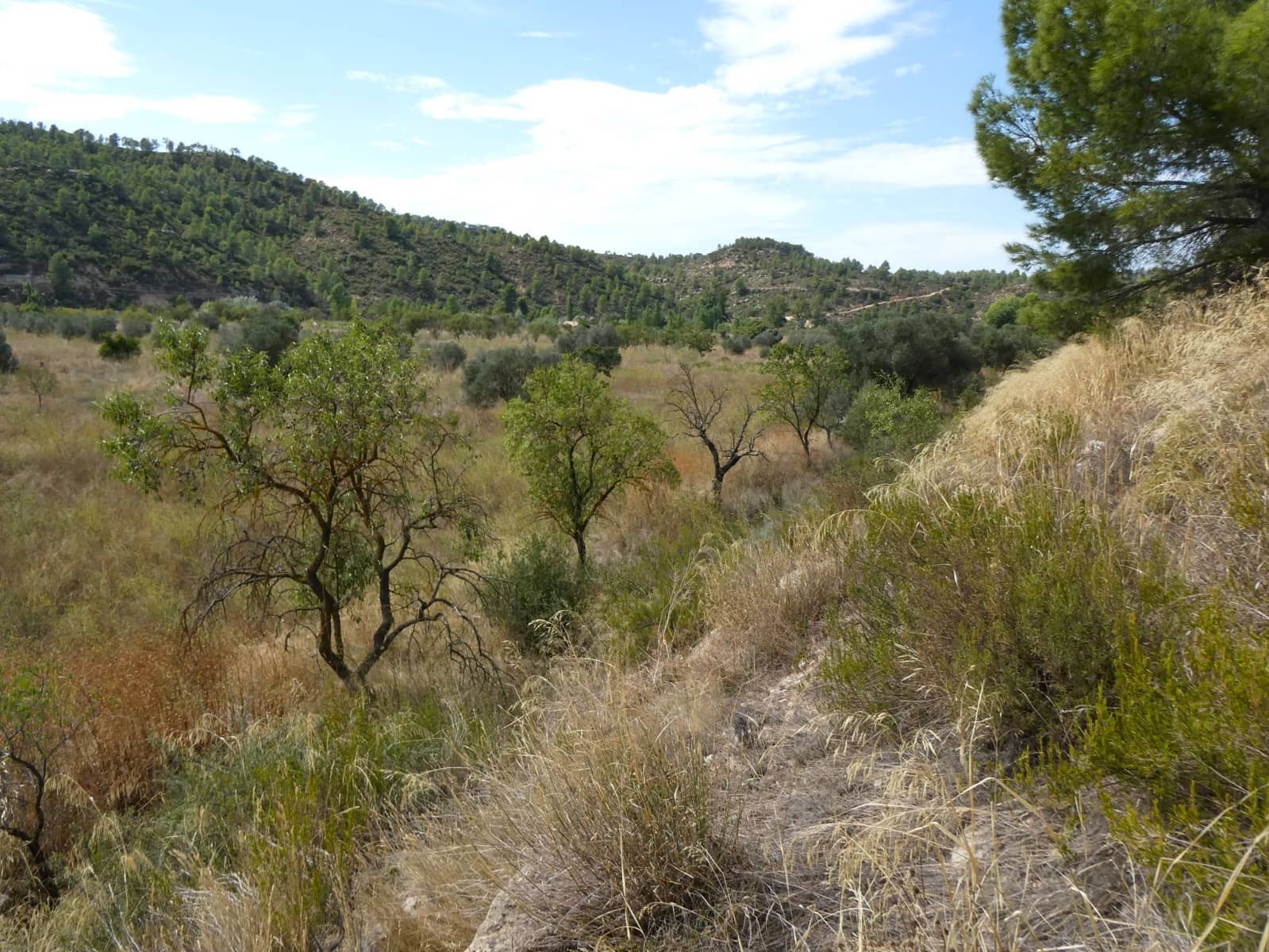 Finca/Landehus til salg i Caseres - € 8.500 (Ref: 9219620)