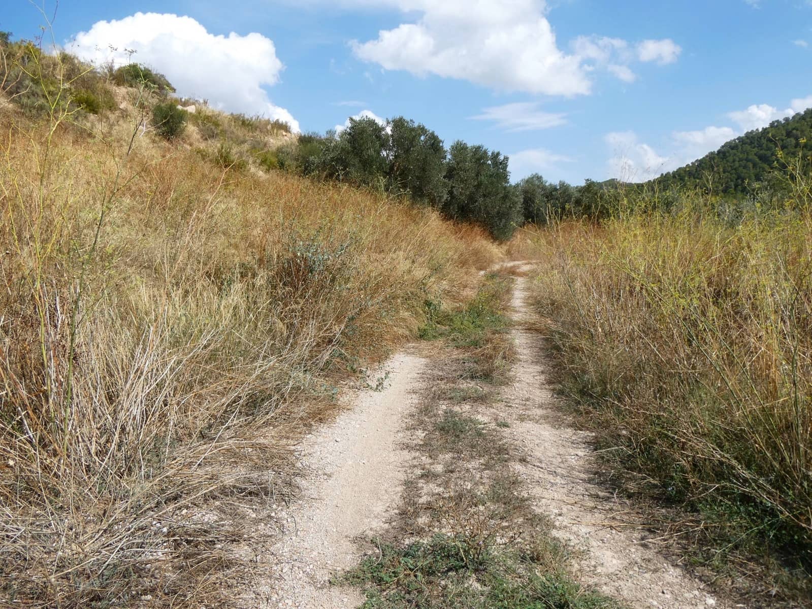 Finca/Landehus til salg i Caseres - € 8.500 (Ref: 9219620)