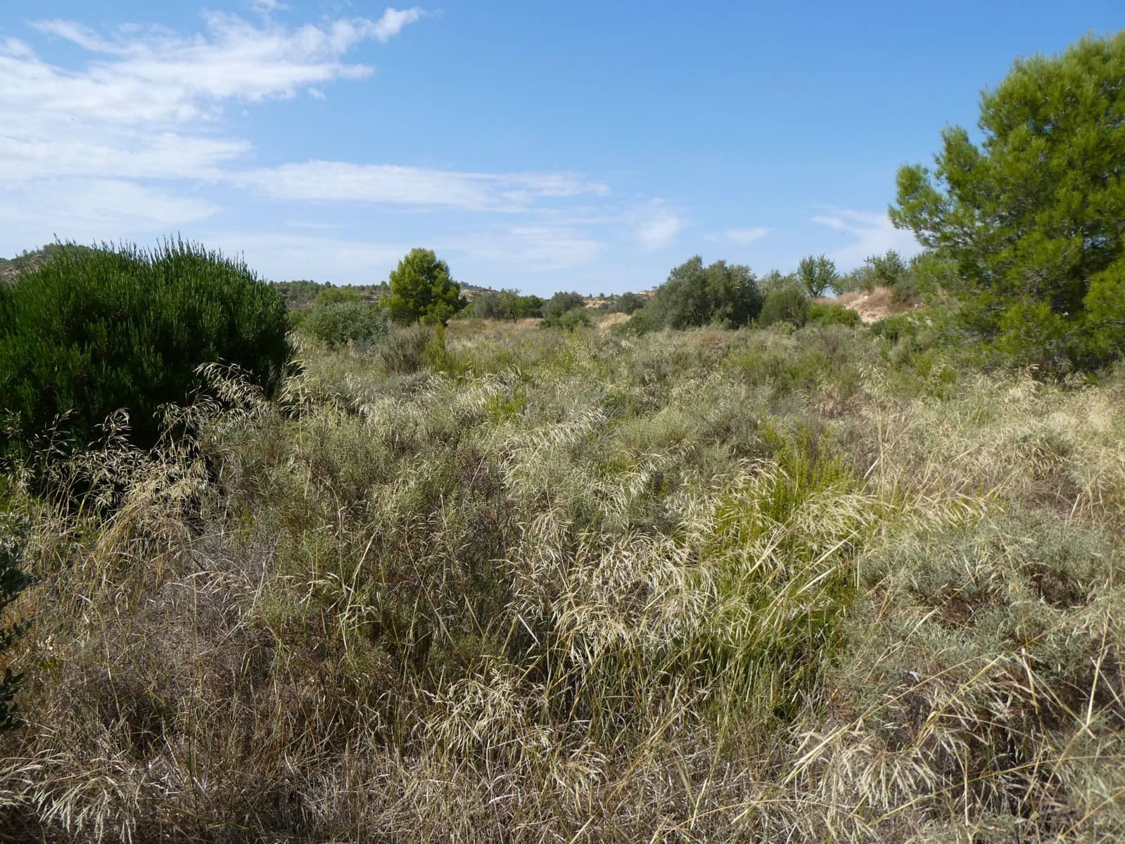 Finca/Landehus til salg i Caseres - € 8.500 (Ref: 9219620)