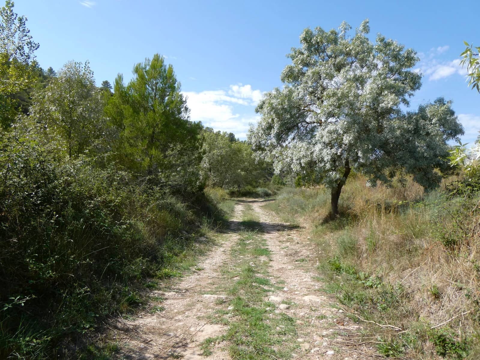 Finca/Landehus til salg i Caseres - € 8.500 (Ref: 9219620)