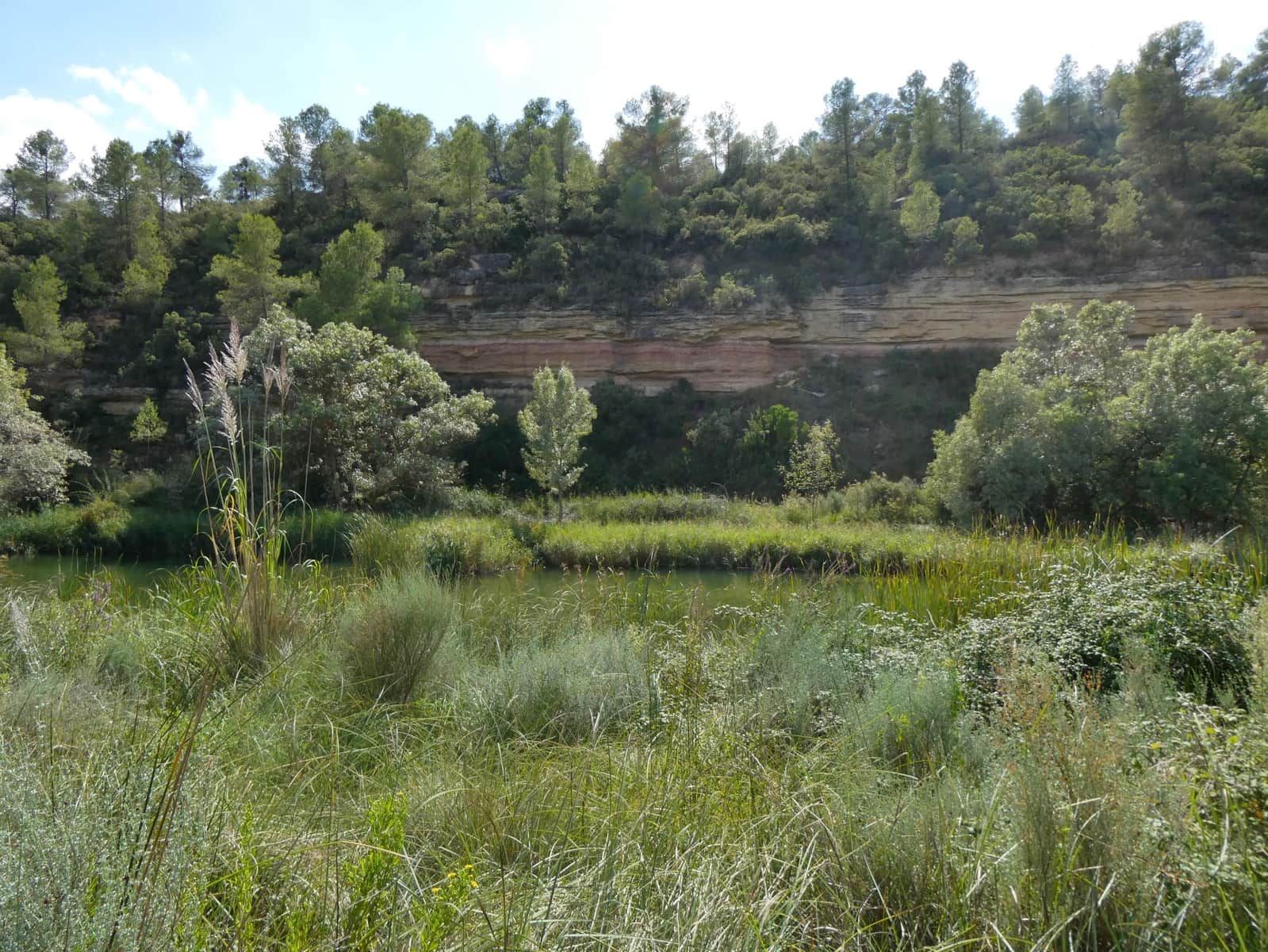 Finca/Landehus til salg i Caseres - € 8.500 (Ref: 9219620)