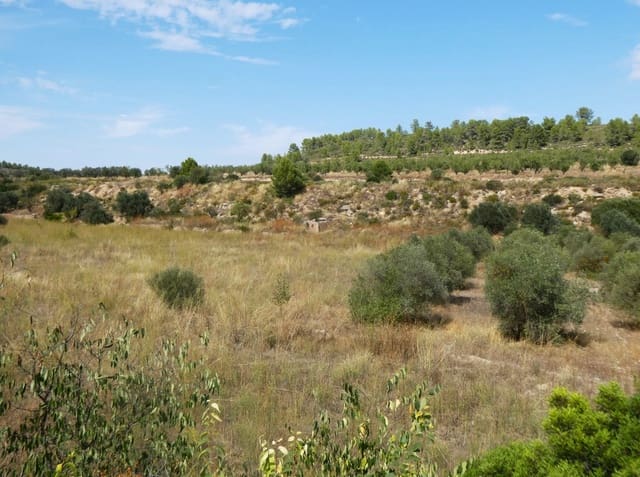 Finca/Landehus til salg i Caseres - € 8.500 (Ref: 9219620)