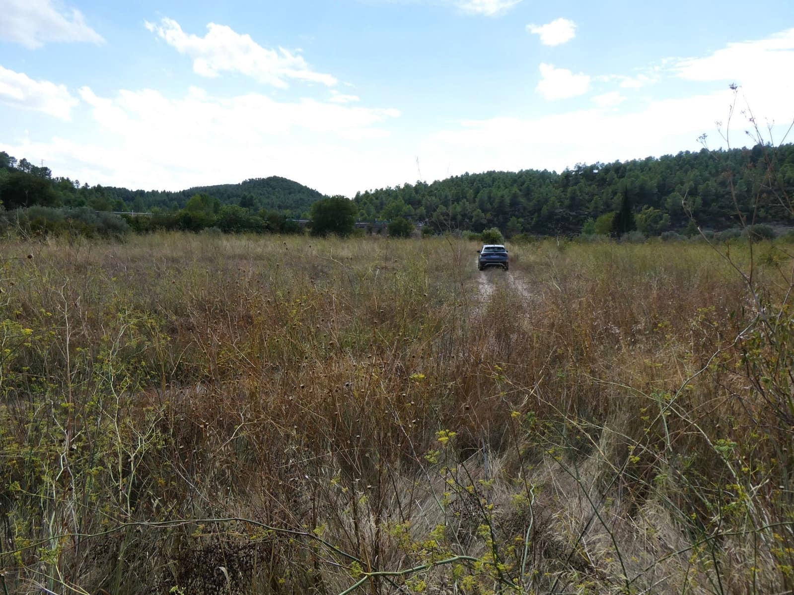 Finca/Casa Rural en Caseres en venta - 8.500 € (Ref: 9219620)