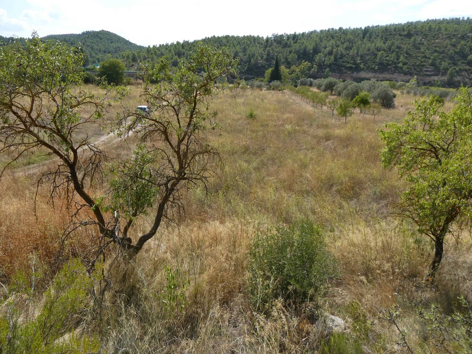 Finca/Casa Rural en Caseres en venta - 8.500 € (Ref: 9219620)