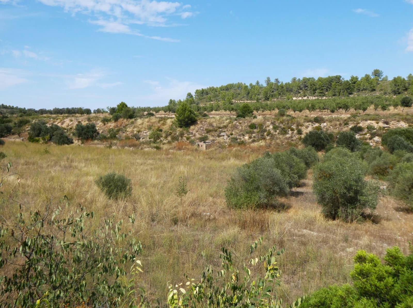 Finca/Casa Rural en Caseres en venta - 8.500 € (Ref: 9219620)