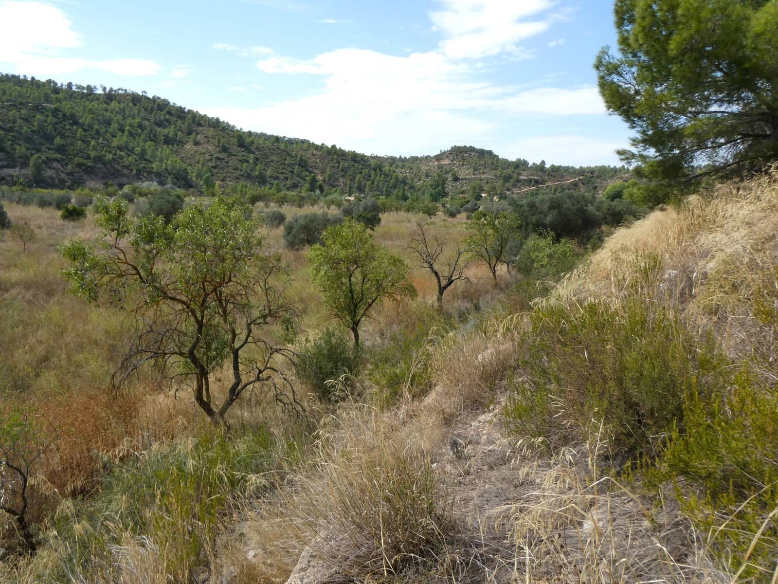 Finca/Casa Rural en Caseres en venta - 8.500 € (Ref: 9219620)