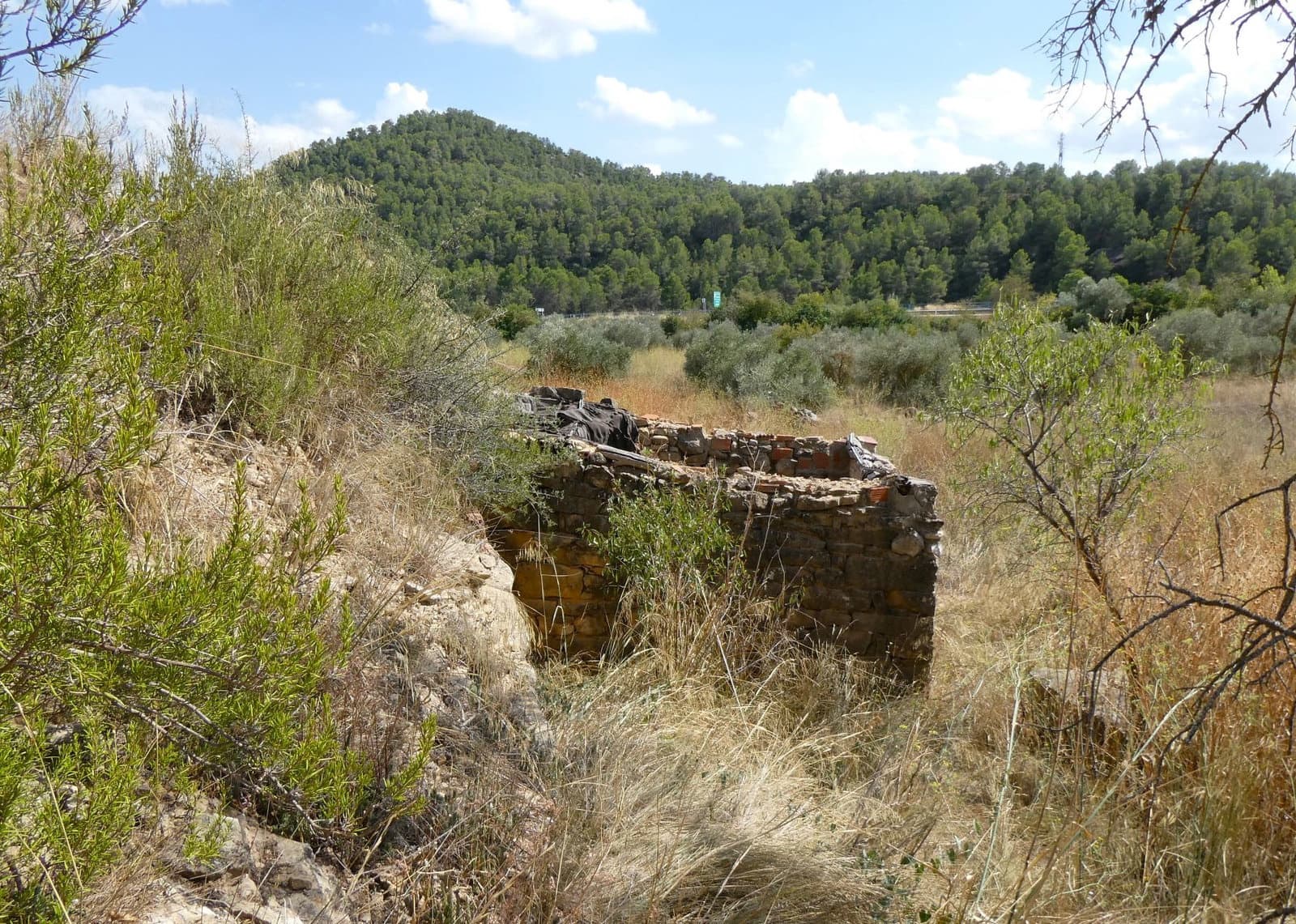 Finca/Casa Rural en Caseres en venta - 8.500 € (Ref: 9219620)