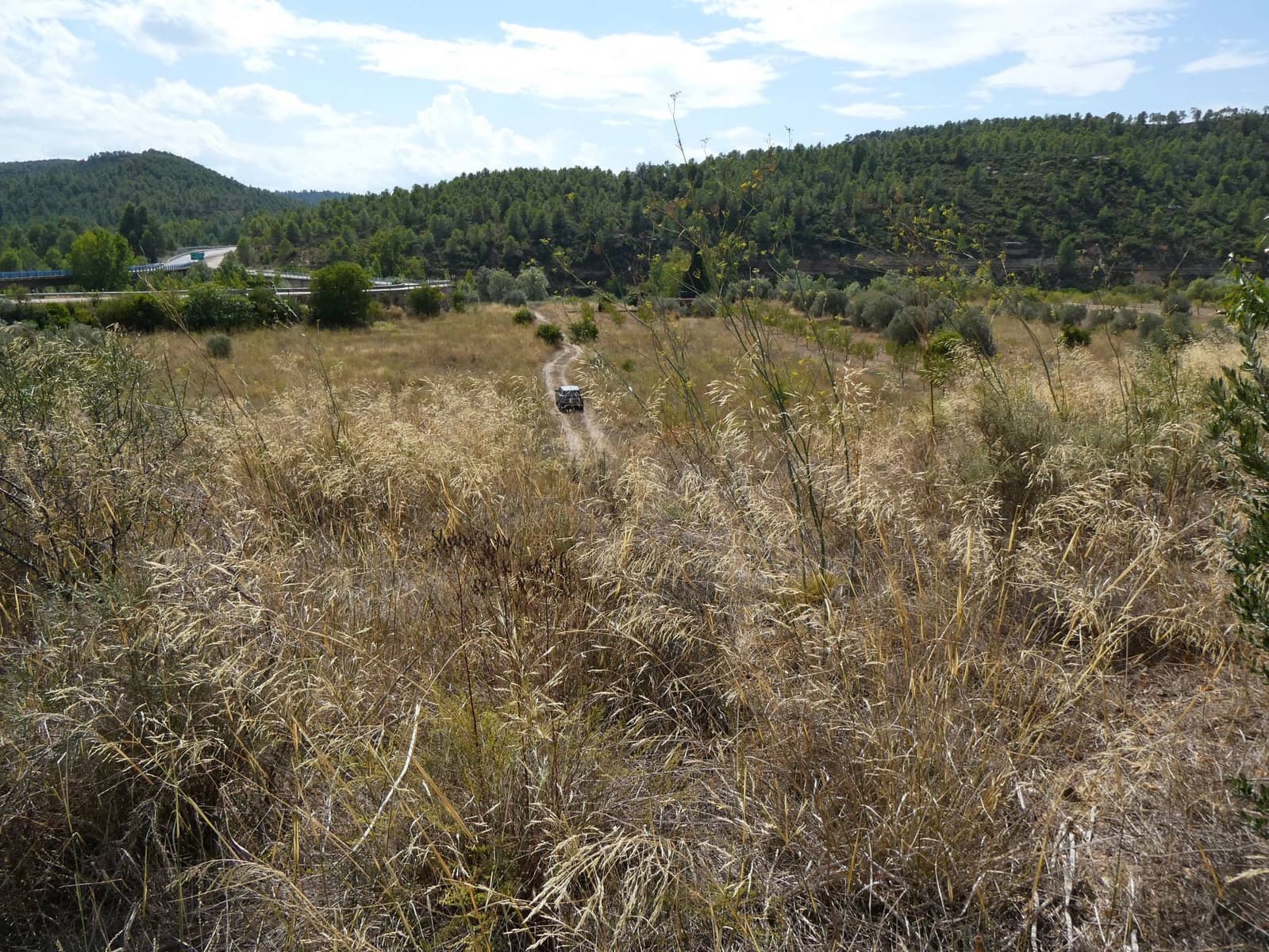 Finca/Casa Rural en Caseres en venta - 8.500 € (Ref: 9219620)