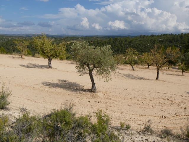 Finca/Hus på landet till salu i Calaceite - 10 500 € (Ref: 9226026)