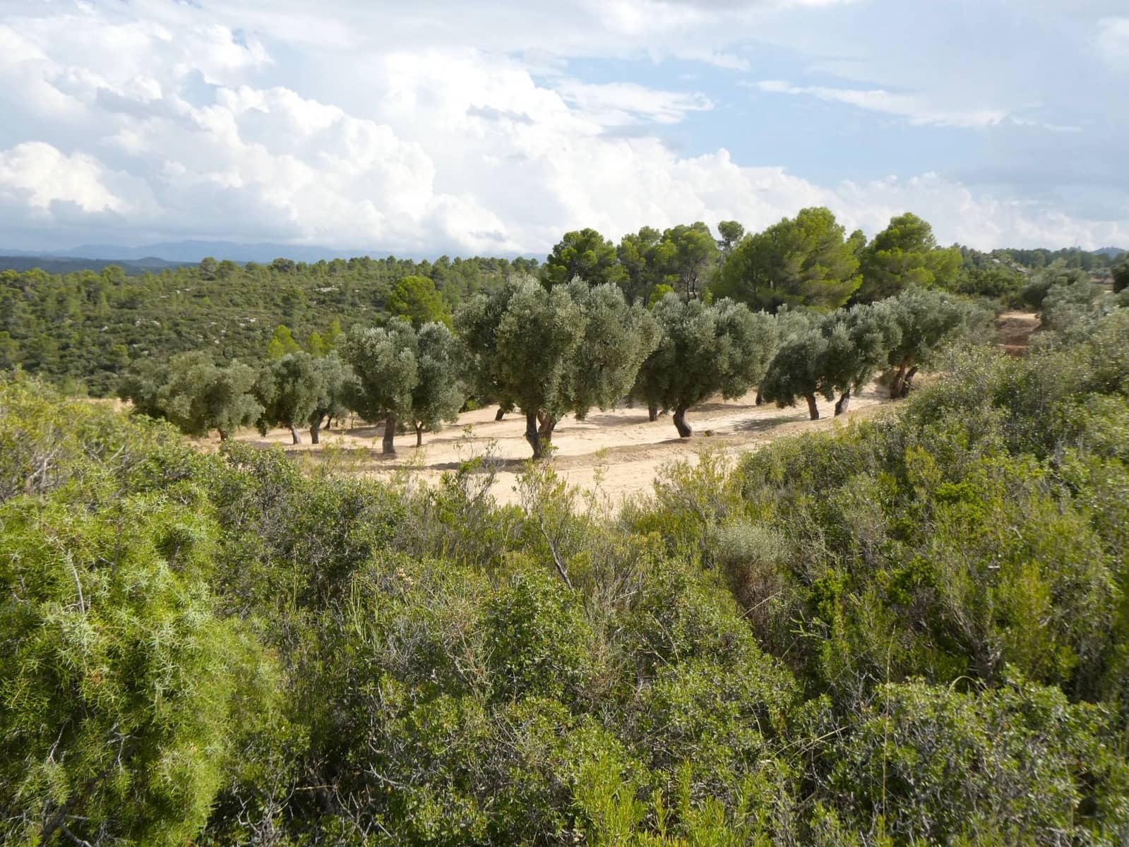 Finca/Hus på landet till salu i Calaceite - 10 500 € (Ref: 9226026)