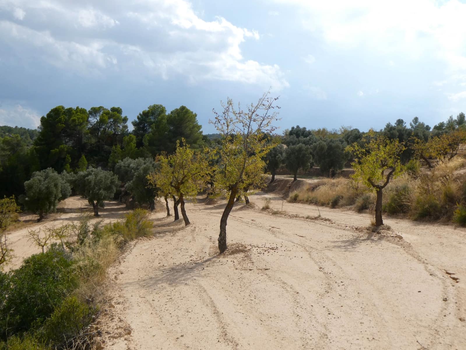 Finca/Hus på landet till salu i Calaceite - 10 500 € (Ref: 9226026)