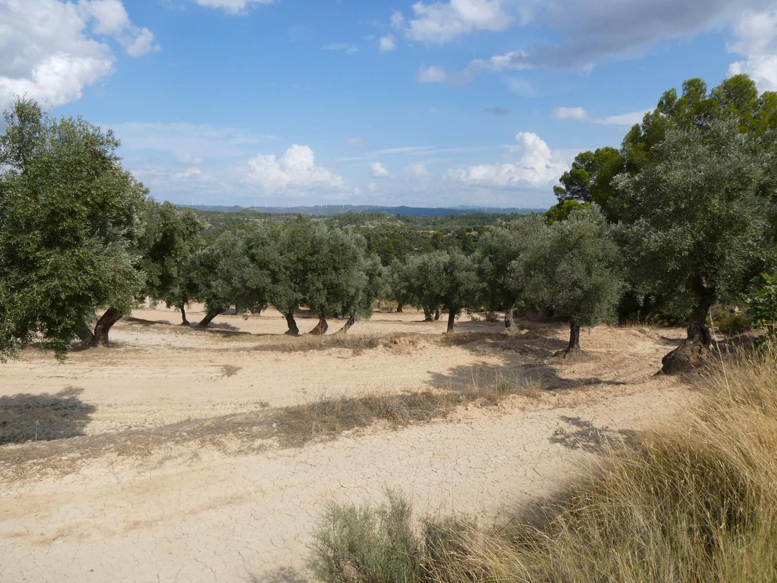 Finca/Hus på landet till salu i Calaceite - 10 500 € (Ref: 9226026)