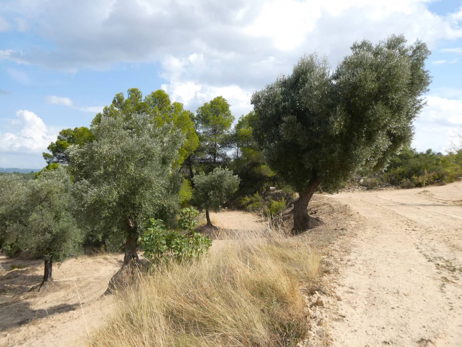 Finca/Hus på landet till salu i Calaceite - 10 500 € (Ref: 9226026)