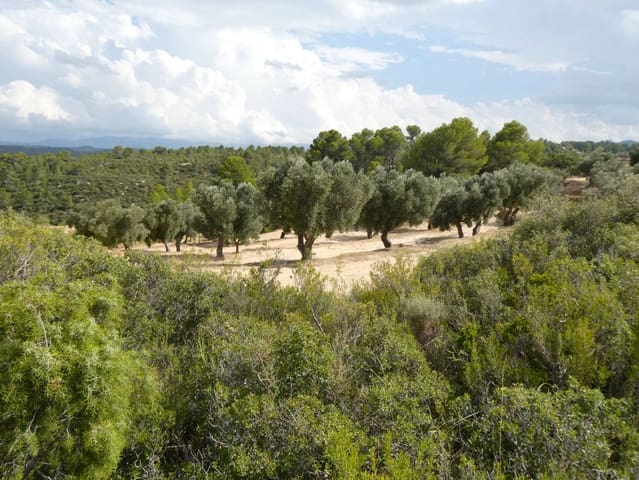 Finca/Hus på landet till salu i Calaceite - 10 500 € (Ref: 9226026)