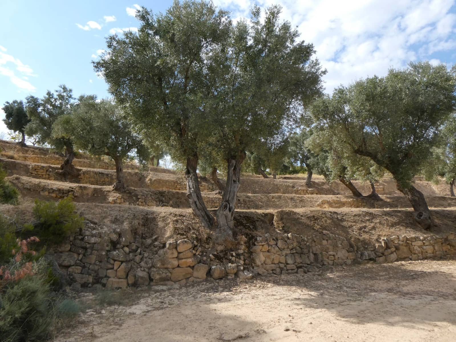 Finca/Hus på landet till salu i Calaceite - 10 500 € (Ref: 9226026)