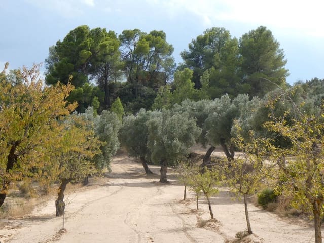 Finca/Hus på landet till salu i Calaceite - 10 500 € (Ref: 9226026)