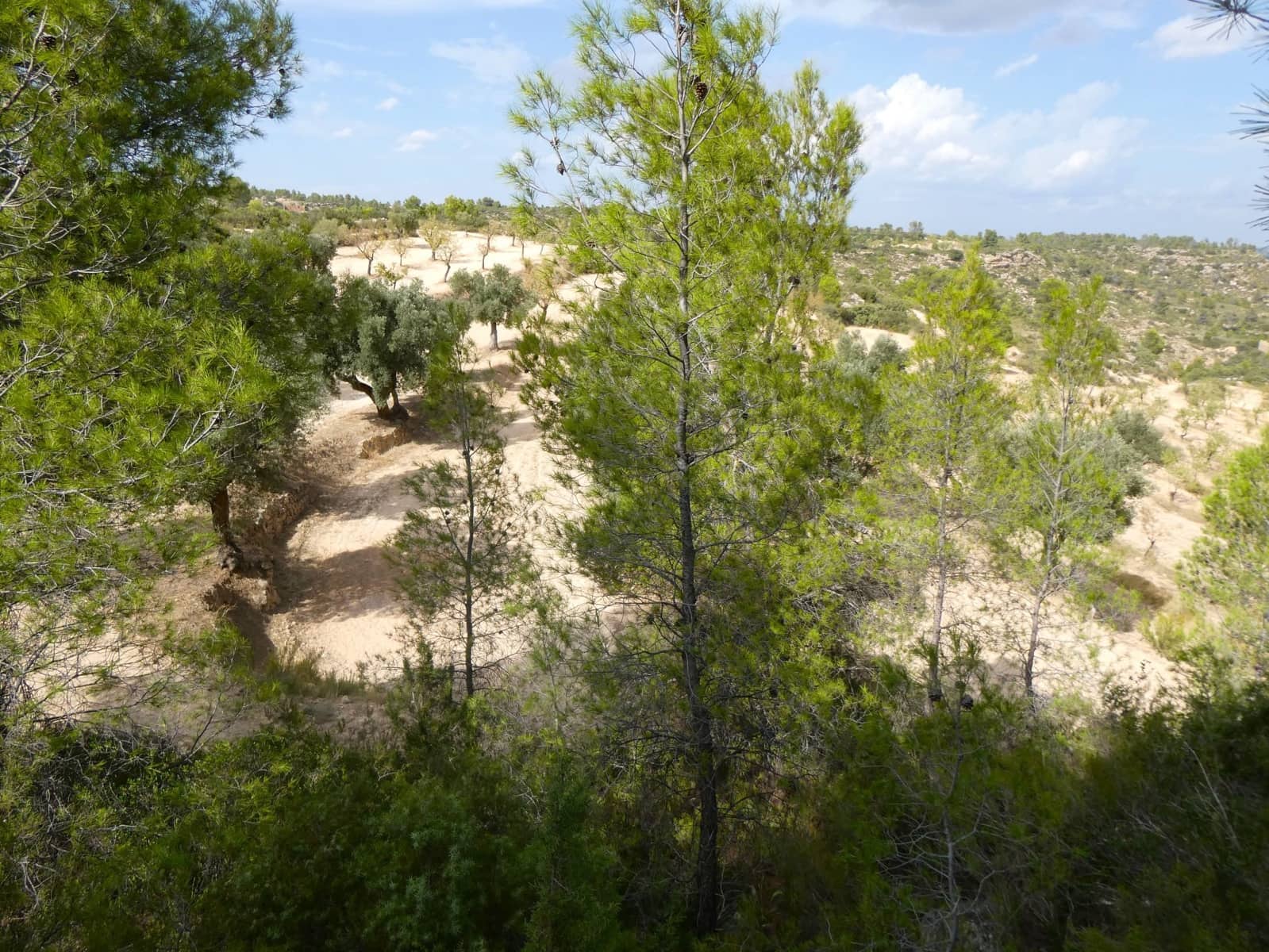 Finca/Hus på landet till salu i Calaceite - 10 500 € (Ref: 9226026)