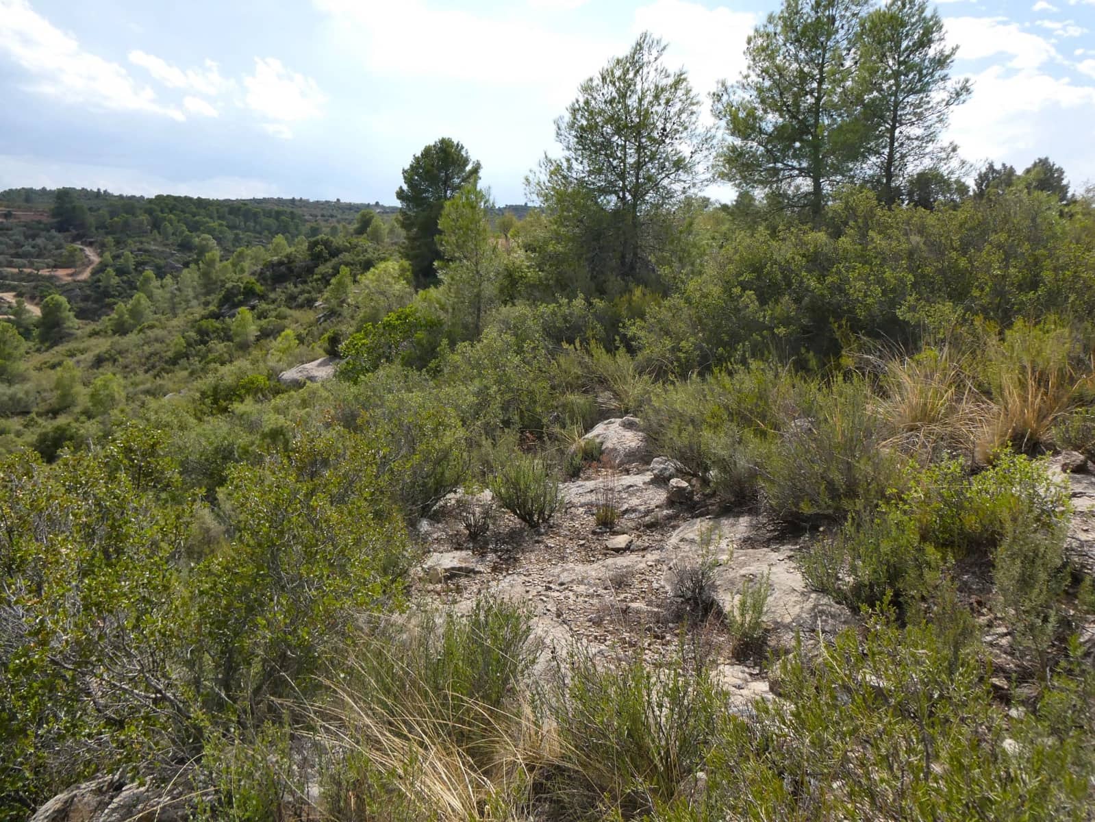 Finca/Hus på landet till salu i Calaceite - 10 500 € (Ref: 9226026)