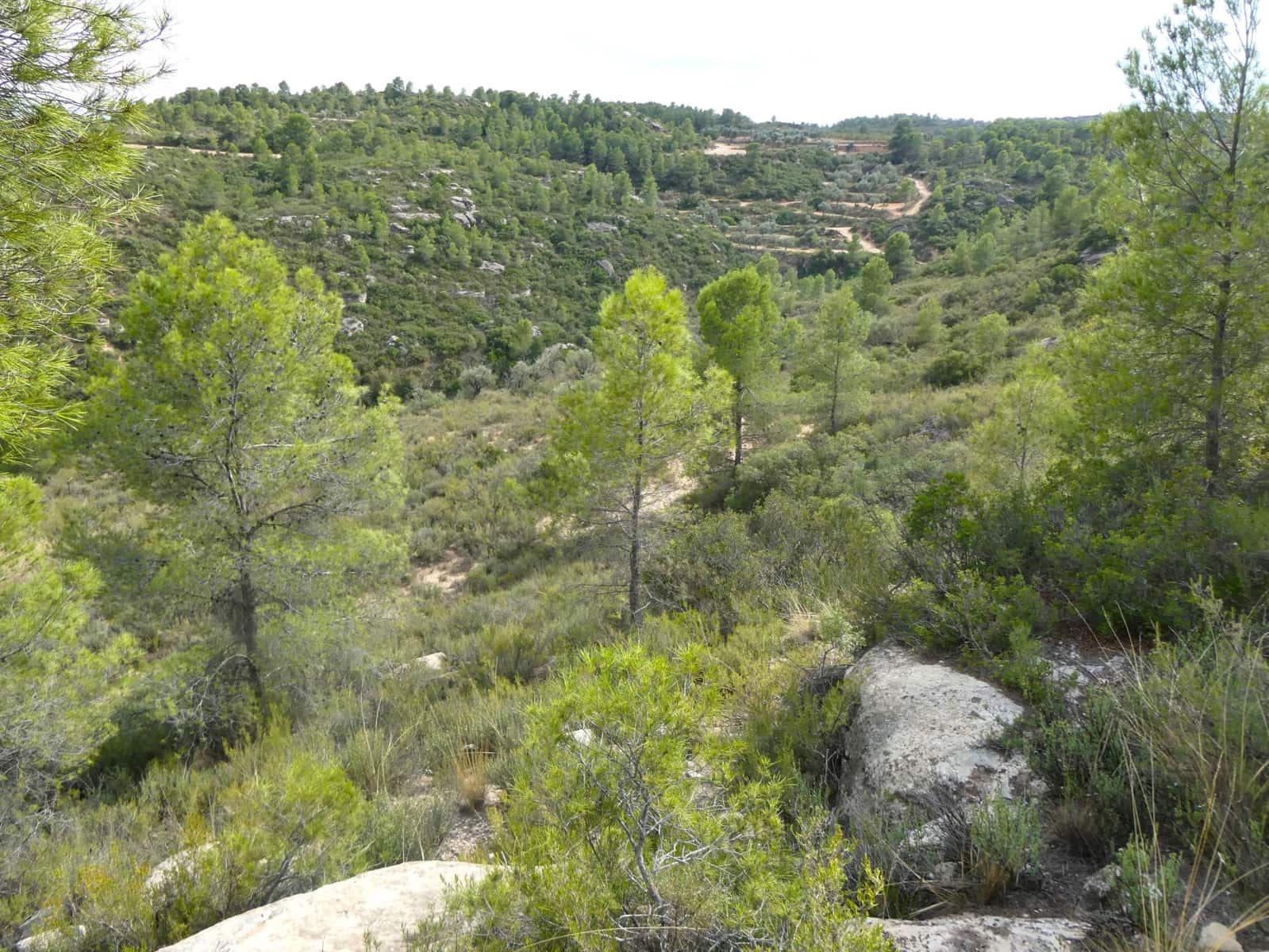 Finca/Hus på landet till salu i Calaceite - 10 500 € (Ref: 9226026)