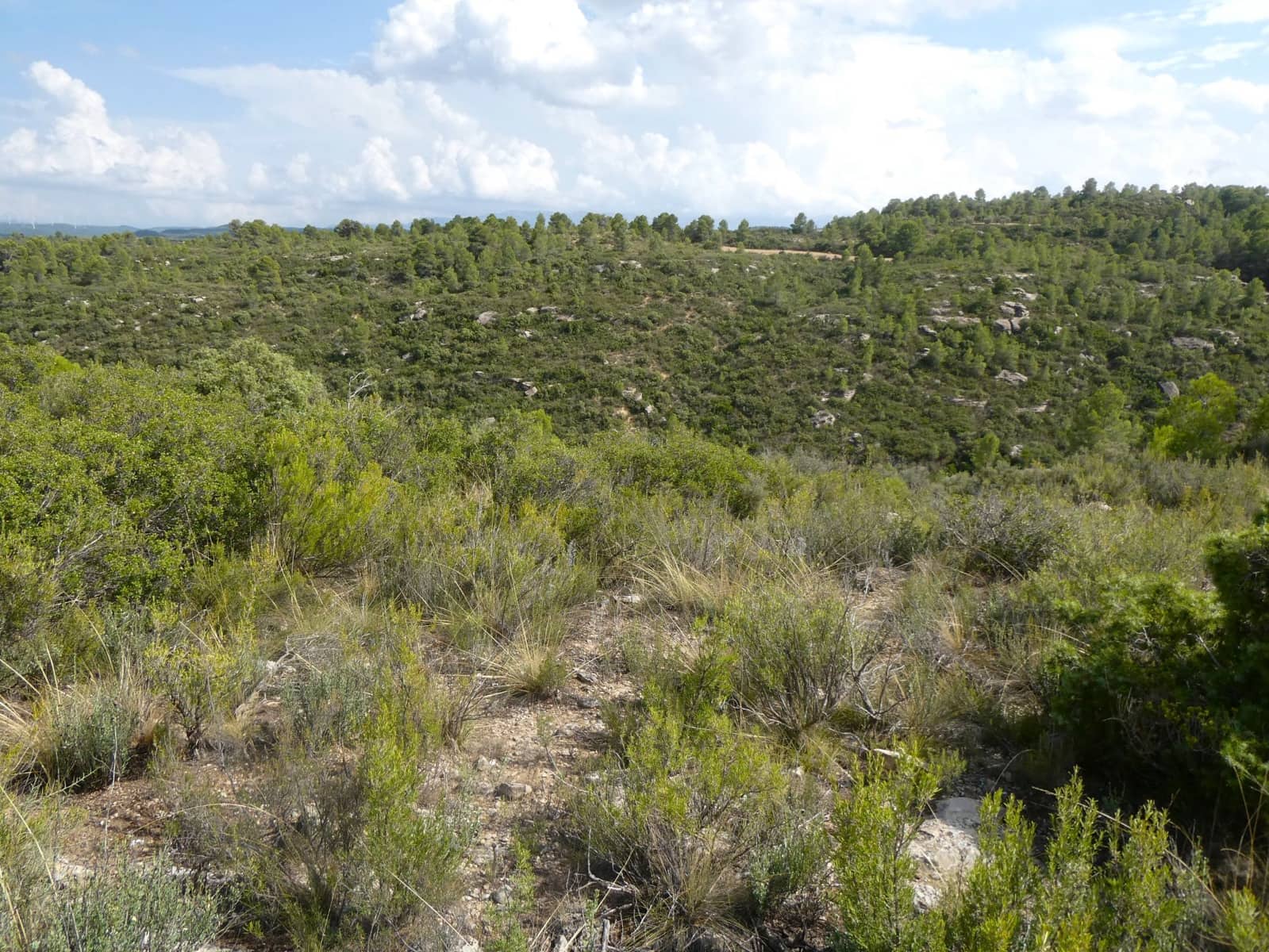 Finca/Hus på landet till salu i Calaceite - 10 500 € (Ref: 9226026)