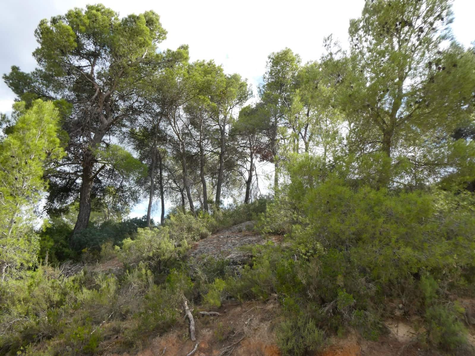 Finca/Hus på landet till salu i Calaceite - 10 500 € (Ref: 9226026)