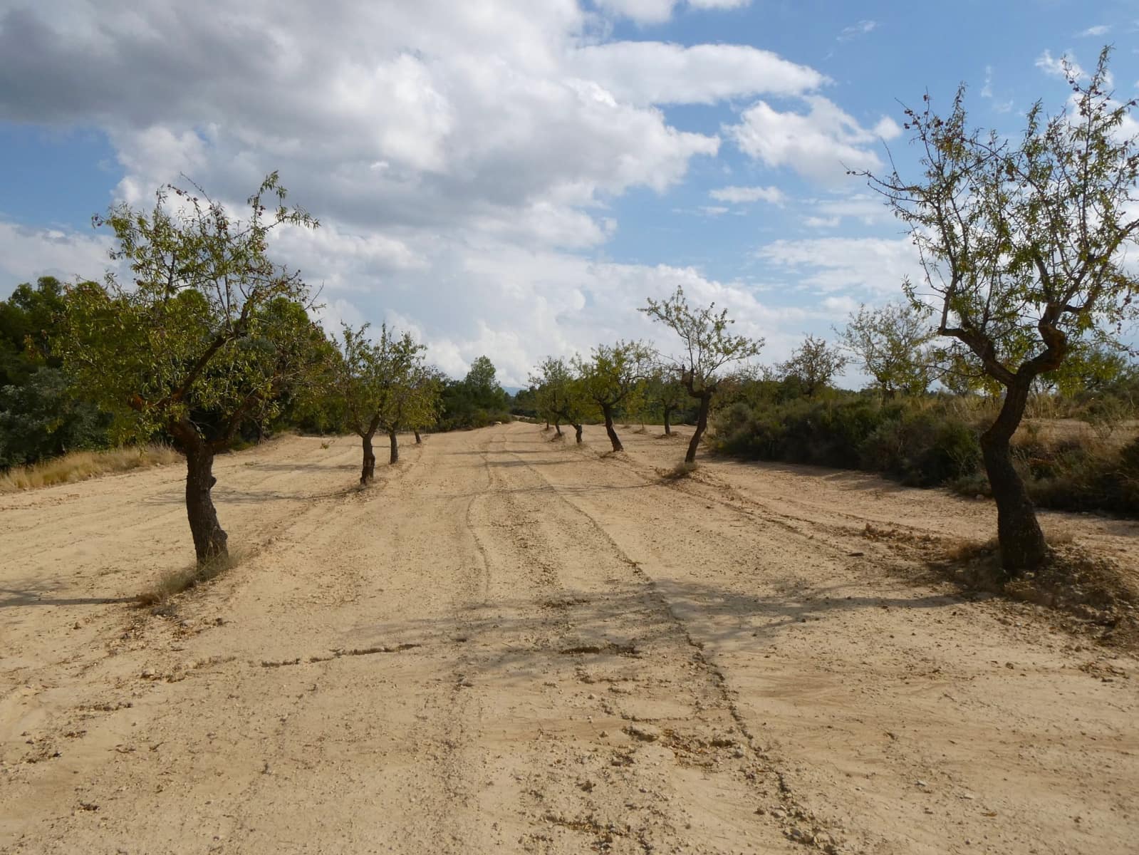 Finca/Hus på landet till salu i Calaceite - 10 500 € (Ref: 9226026)