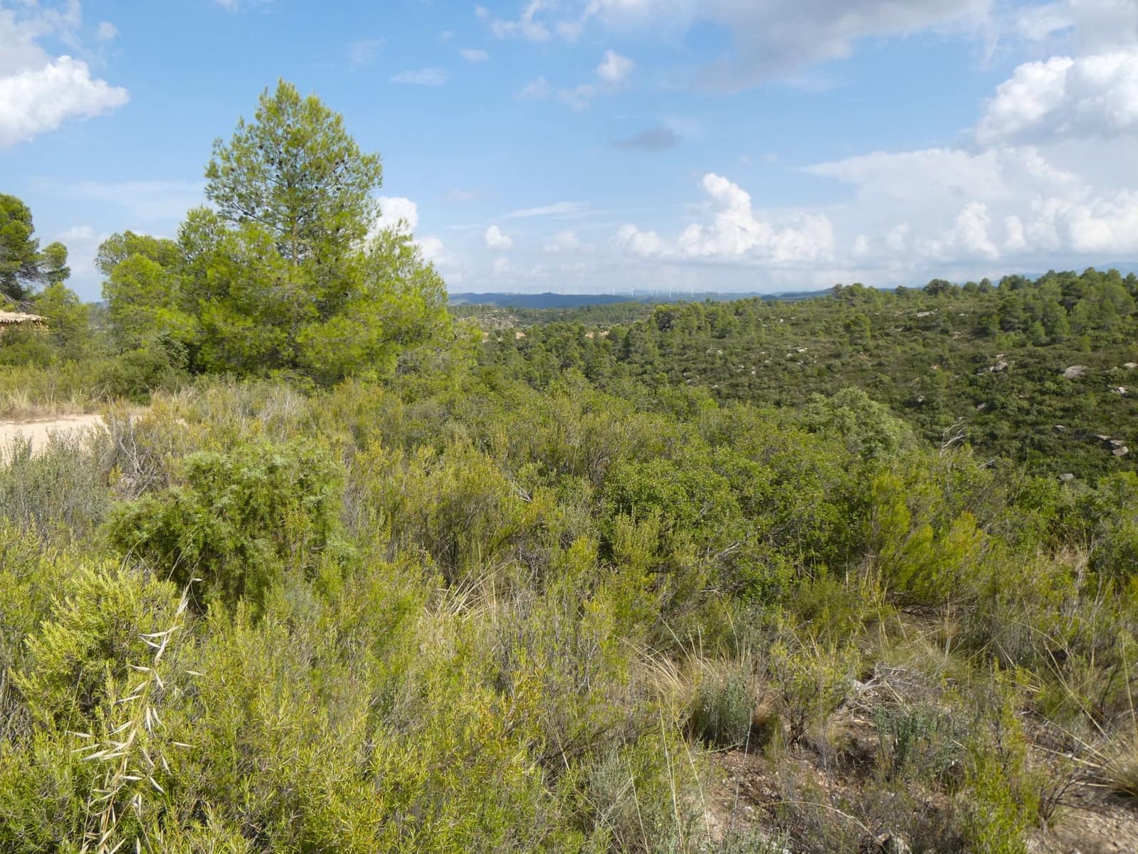 Finca/Hus på landet till salu i Calaceite - 10 500 € (Ref: 9226026)