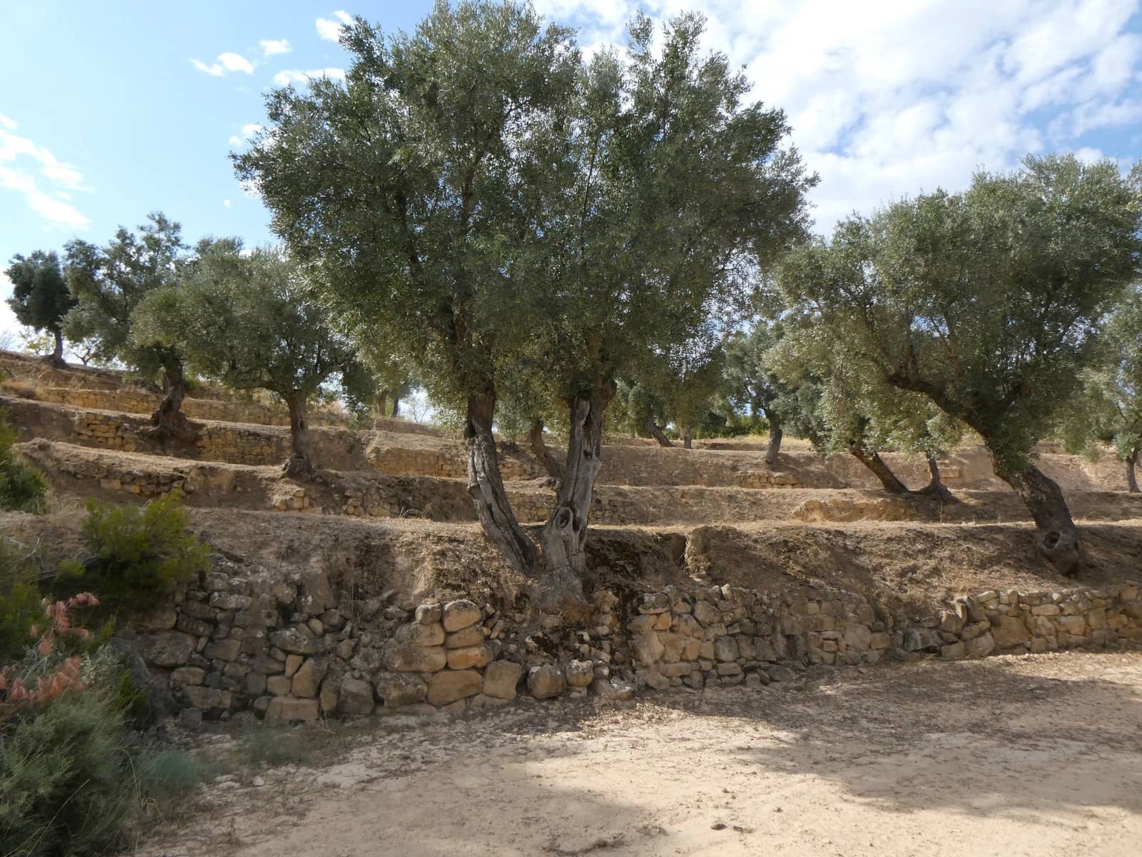 Finca/Country House for sale in Calaceite - € 7,500 (Ref: 9226026)