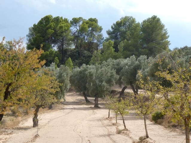 Finca/Landehus til salg i Calaceite - € 7.500 (Ref: 9226026)