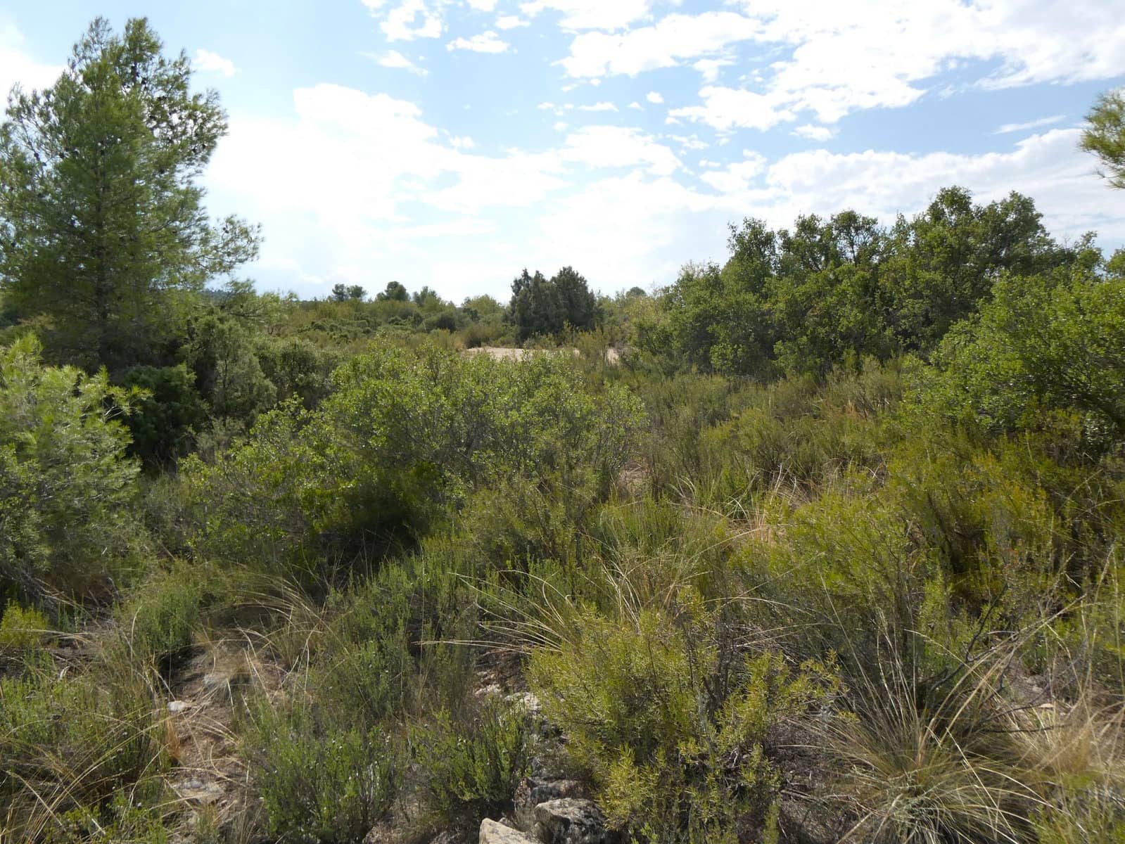 Finca/Country House for sale in Calaceite - € 7,500 (Ref: 9226026)