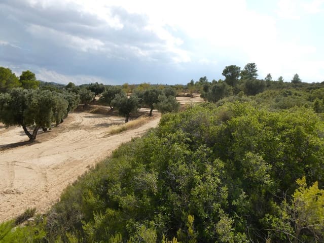 Finca/Landehus til salg i Calaceite - € 7.500 (Ref: 9226026)