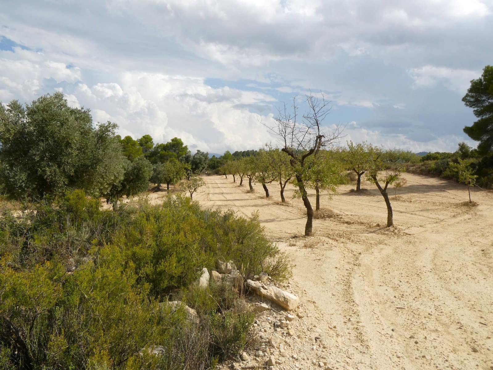 Finca/Country House for sale in Calaceite - € 7,500 (Ref: 9226026)