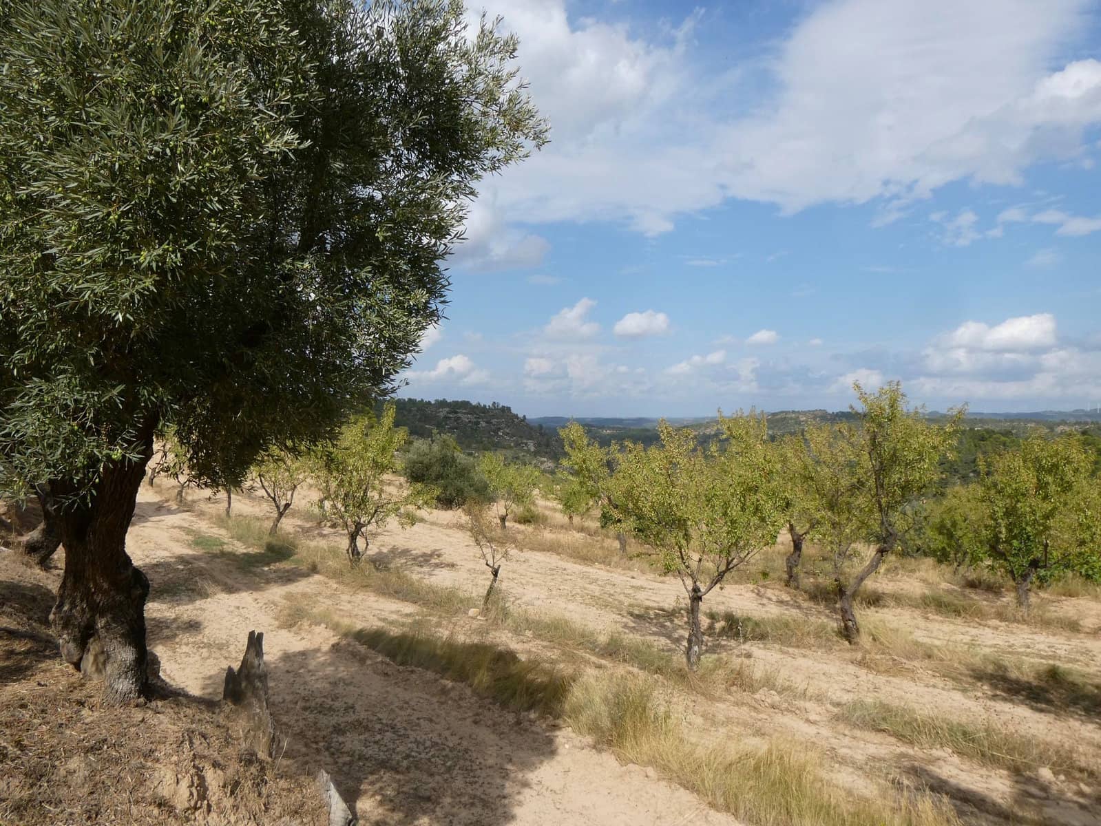 Finca/Country House for sale in Calaceite - € 7,500 (Ref: 9226026)