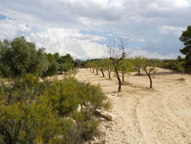 Finca/Landehus til salg i Calaceite - € 7.500 (Ref: 9226026)