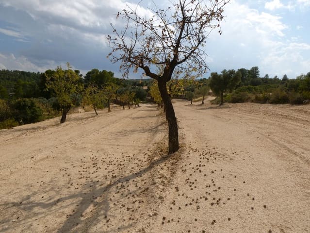 Finca/Landehus til salg i Calaceite - € 7.500 (Ref: 9226026)