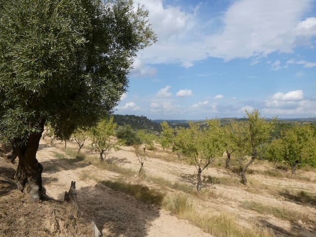 Finca/Landehus til salg i Calaceite - € 7.500 (Ref: 9226026)
